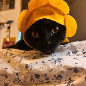 Meet your Posher, Luna